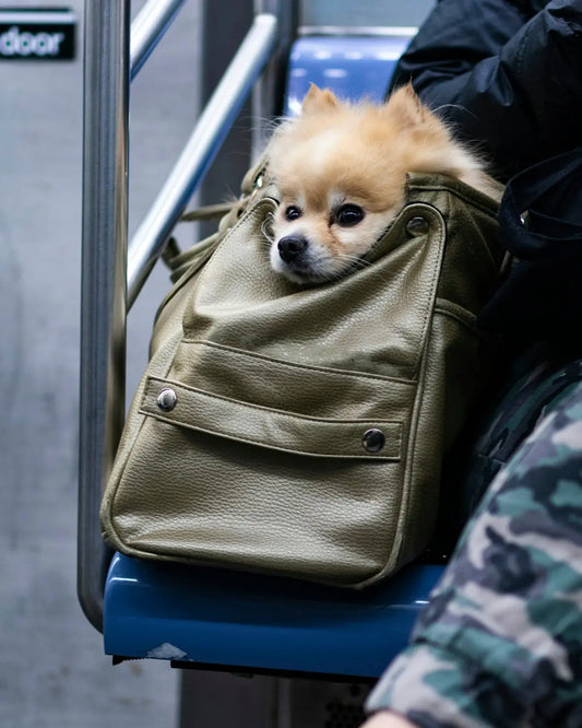 Porta animali in pelle verde oliva con patta frontale e bottoni a scatto argento per stile donna bags