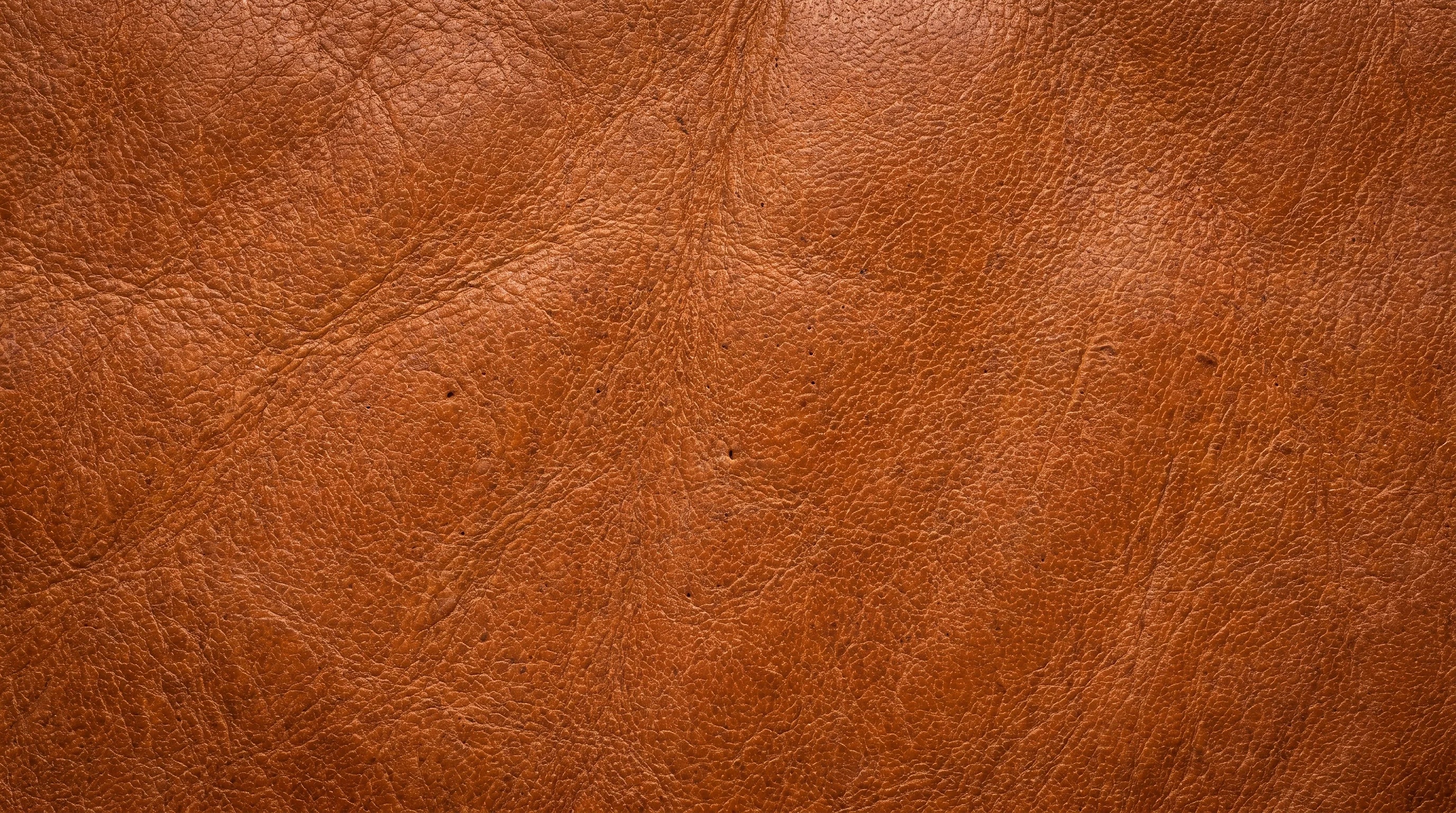 Vera Pelle - stile donna bags